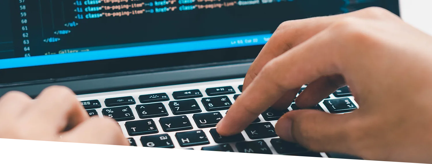 Webシステム開発